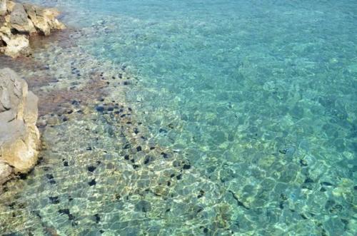 ETE 2012 : classe de mer