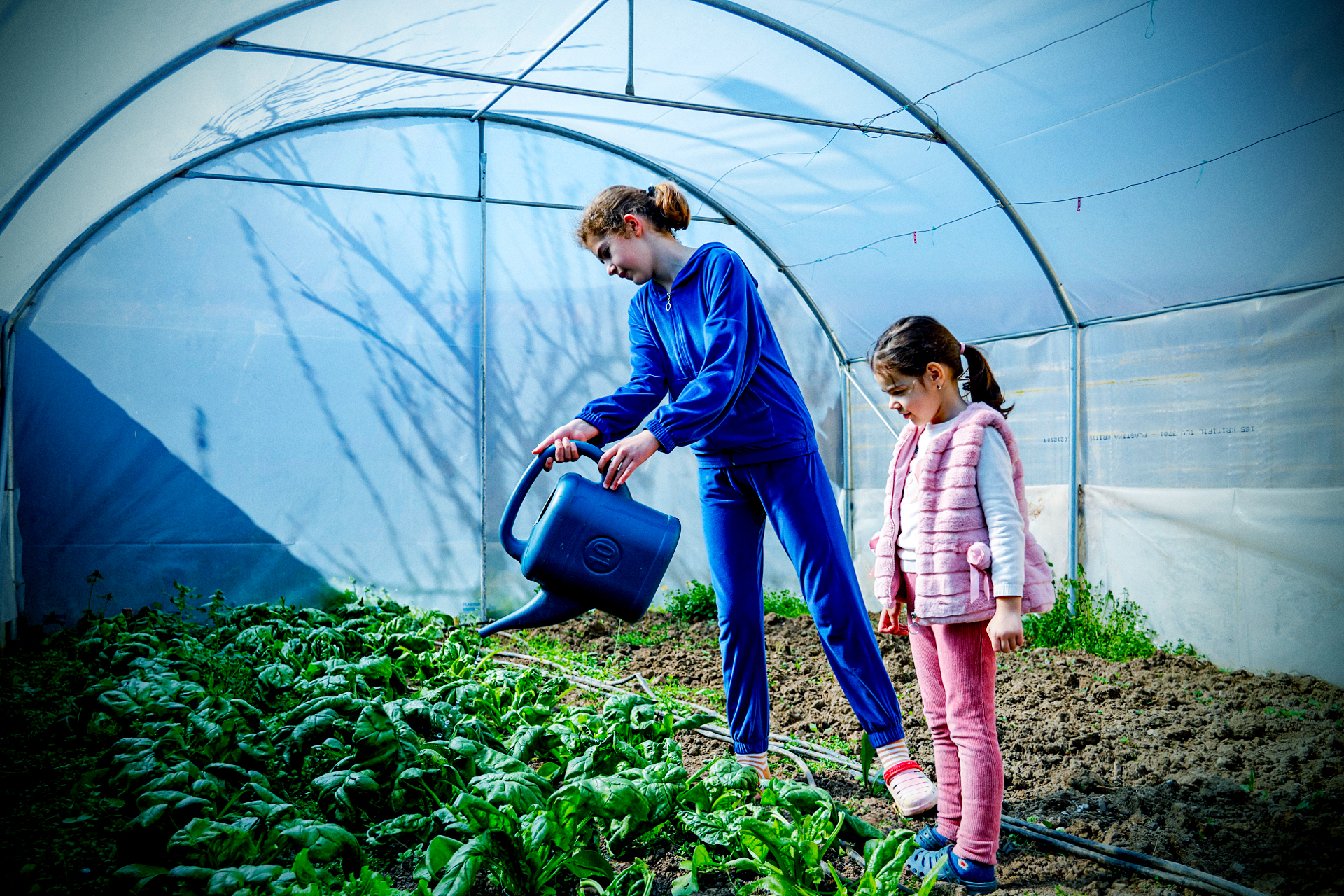 Agriculture durable, sécurité alimentaire et nutrition