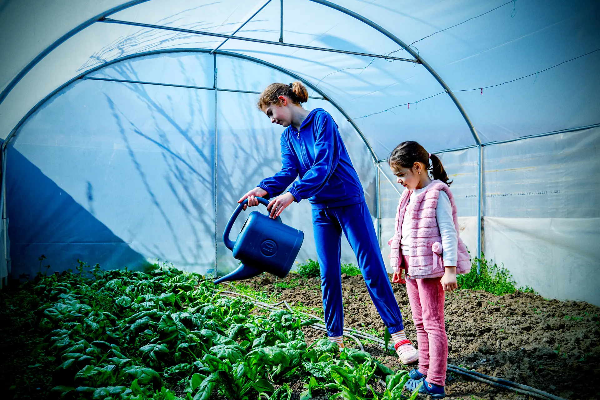 Agriculture durable, sécurité alimentaire et nutrition