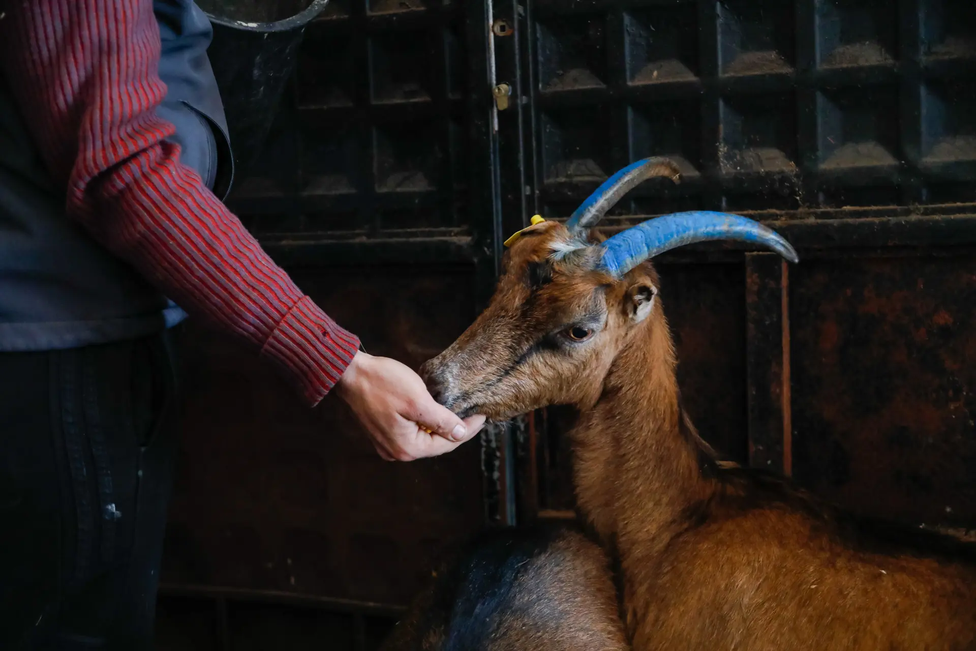 Agriculture durable, sécurité alimentaire et nutrition