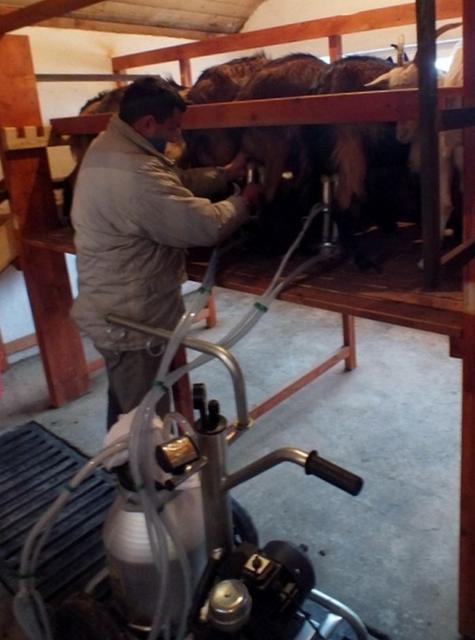 Création d’une fromagerie: Solidarité Kosovo franchit un nouveau pas vers l’autonomie alimentaire des Serbes du Kosovo