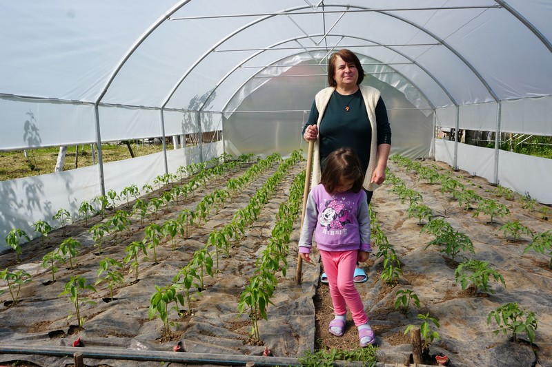 Solidarité Kosovo développe les cultures sous serre