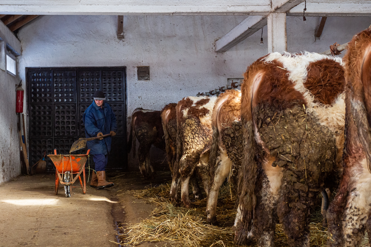 Lire la suite à propos de l’article [Covid-19] Vers une crise alimentaire au Kosovo-Métochie ?