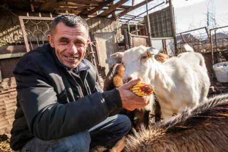 Paysan serbe fier de ses chèvres
