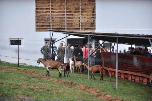 Construction d'une ferme bovine