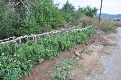 Construction d'une ferme bovine