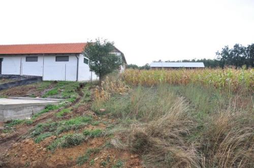 Construction d'une ferme bovine