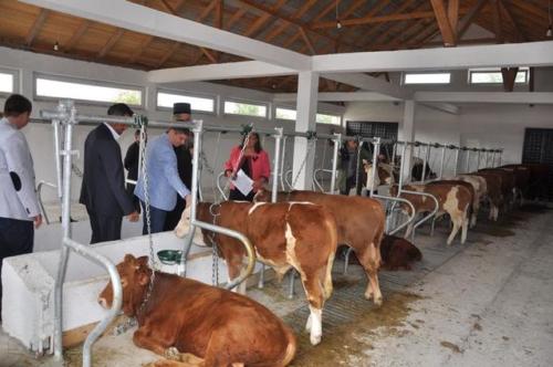 Construction d'une ferme bovine