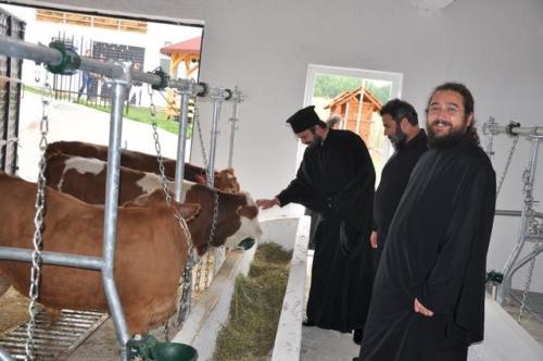 Construction d'une ferme bovine