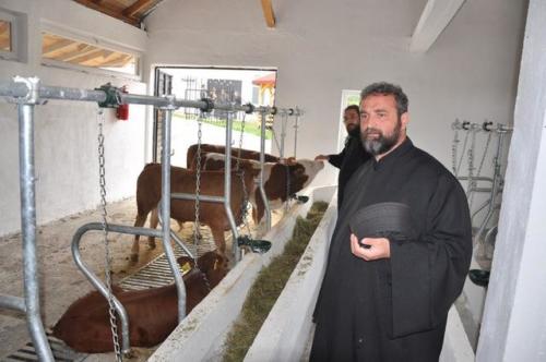 Construction d'une ferme bovine