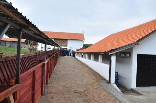 Construction d'une ferme bovine