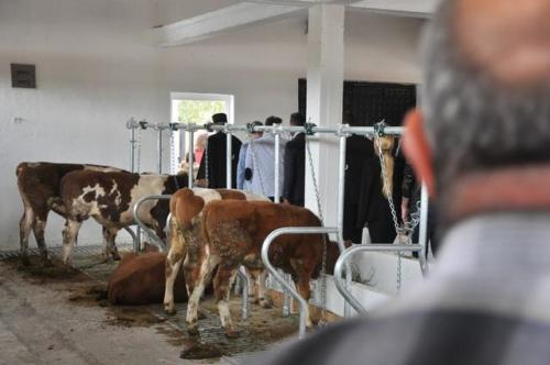 Construction d'une ferme bovine