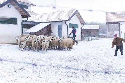 Convoi de Noël 2016