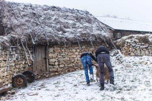 Convoi de Noël 2016