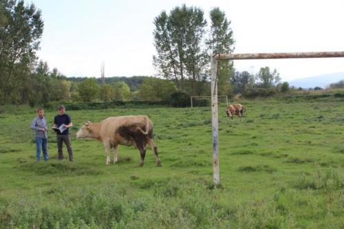 Rénovation du club sportif de Velika Hoča