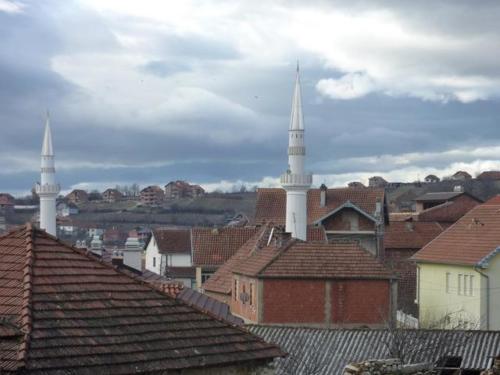 20100106 orahovac2